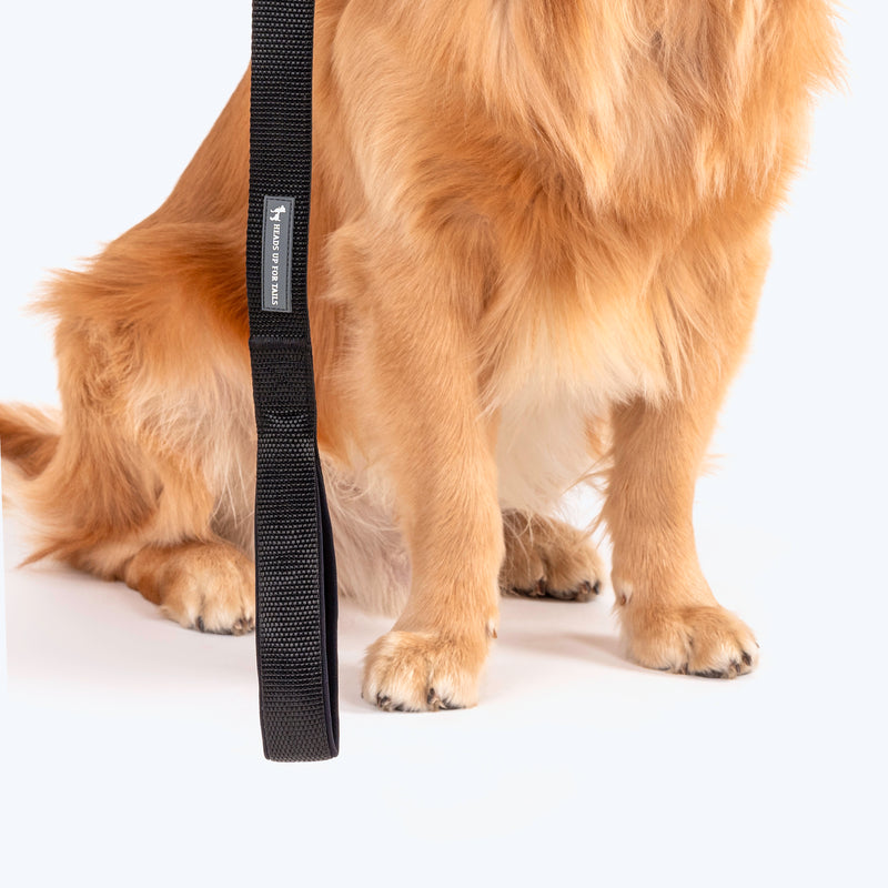 HUFT Basics Dog Leash - Classic Black - Heads Up For Tails