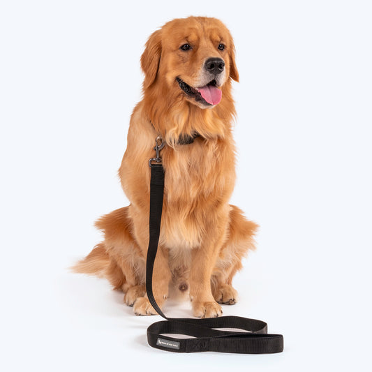 HUFT Basics Dog Collar & Leash Set - Classic Black - Heads Up For Tails