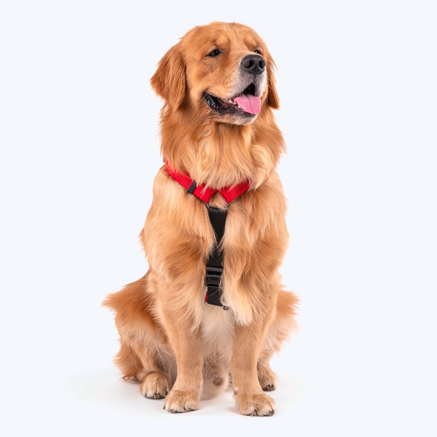 HUFT Basics Dog H-Harness & Leash Set - Crimson Red - Heads Up For Tails