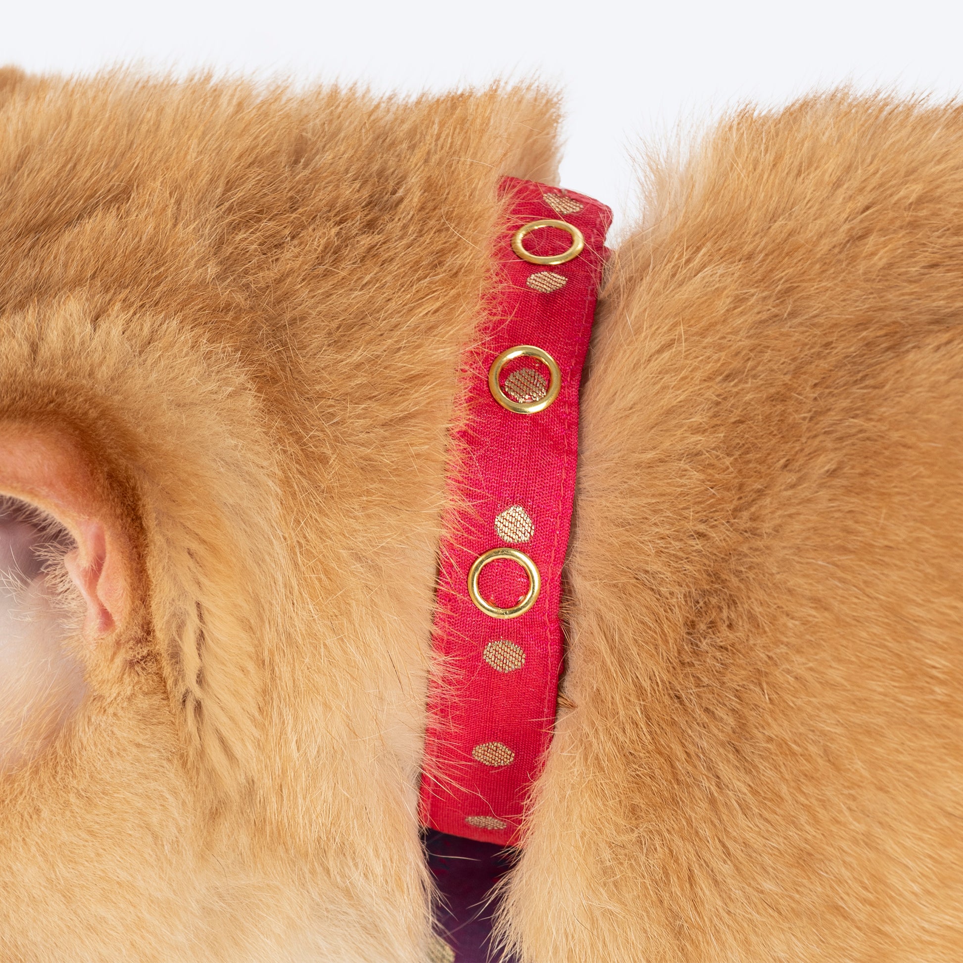HUFT Desi Glam Bow Tie With Strap For Cat - Pink & Purple - Heads Up For Tails