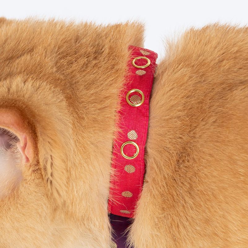 HUFT Desi Glam Bow Tie With Strap For Cat - Pink & Purple - Heads Up For Tails