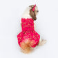 HUFT Personalised Shimmering Zari Dog Lehenga - Pink_01