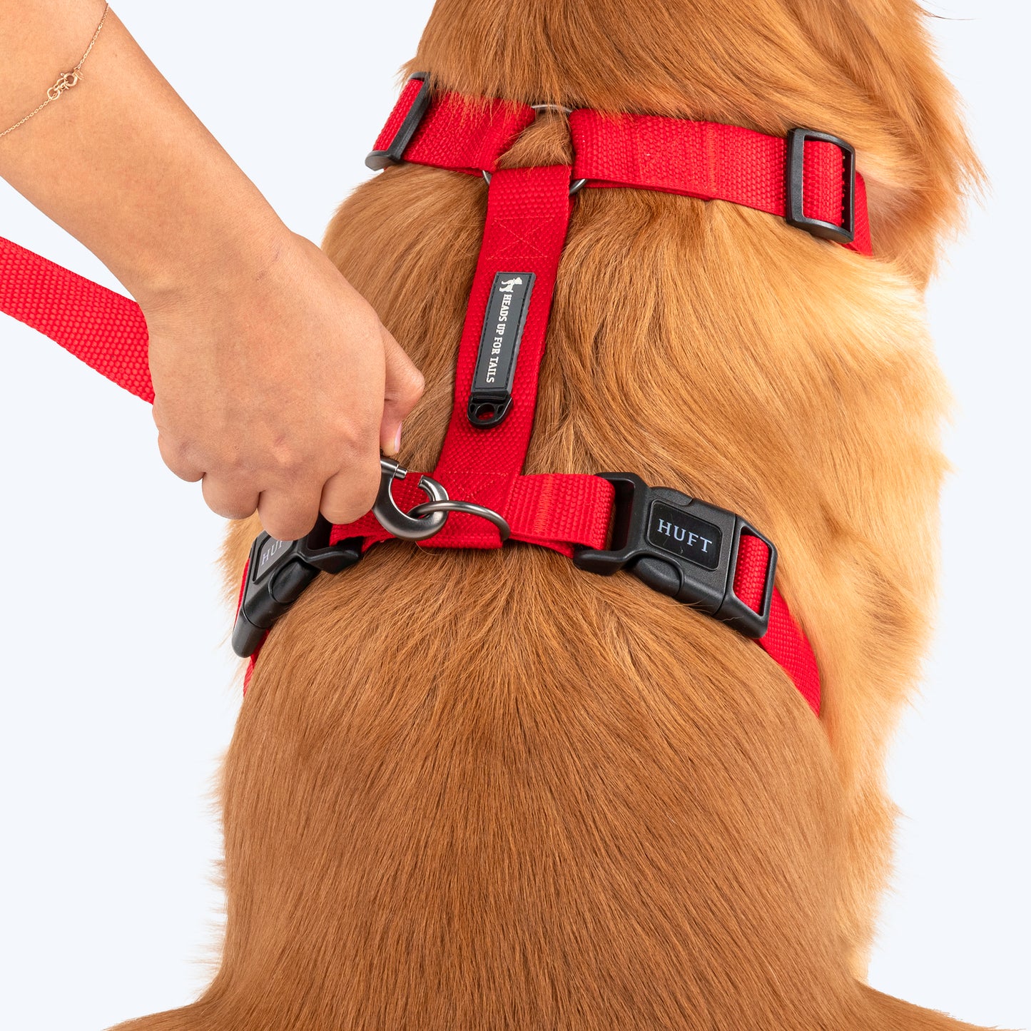 HUFT Basics Dog H-Harness & Leash Set - Crimson Red - Heads Up For Tails