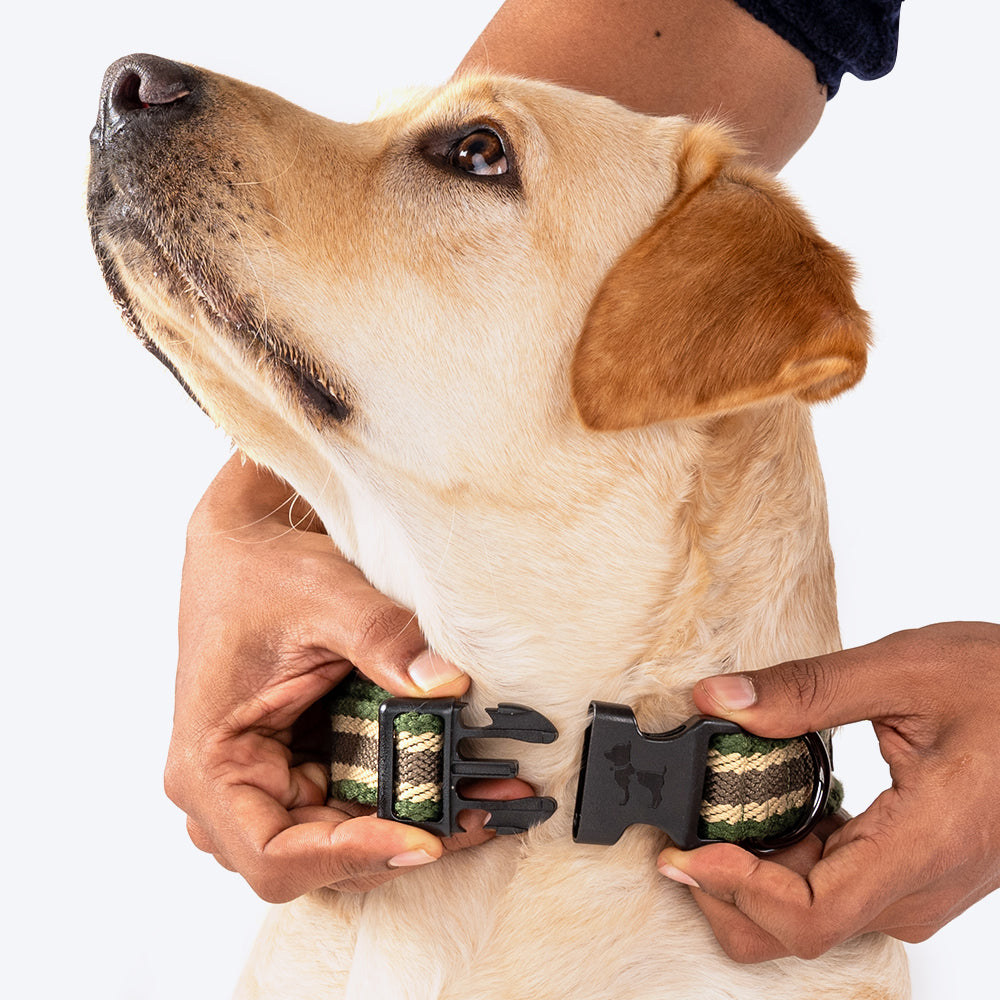HUFT Olive Odyssey Dog Collar - Olive Green & Beige - Heads Up For Tails