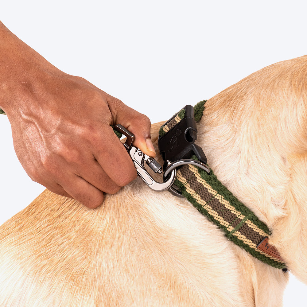 HUFT Olive Odyssey Dog Collar - Olive Green & Beige - Heads Up For Tails