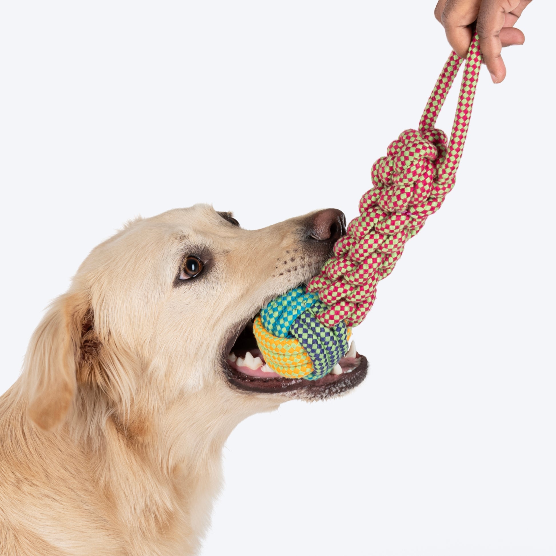 Dash Dog Knots of Fun Rope Toy For Dog - Yellow_05