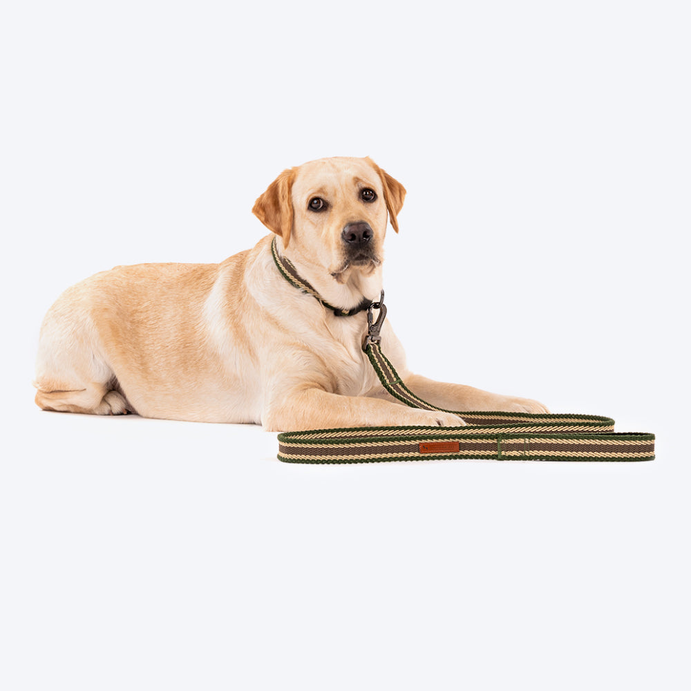HUFT Olive Odyssey Dog Leash - Olive Green & Beige - Heads Up For Tails