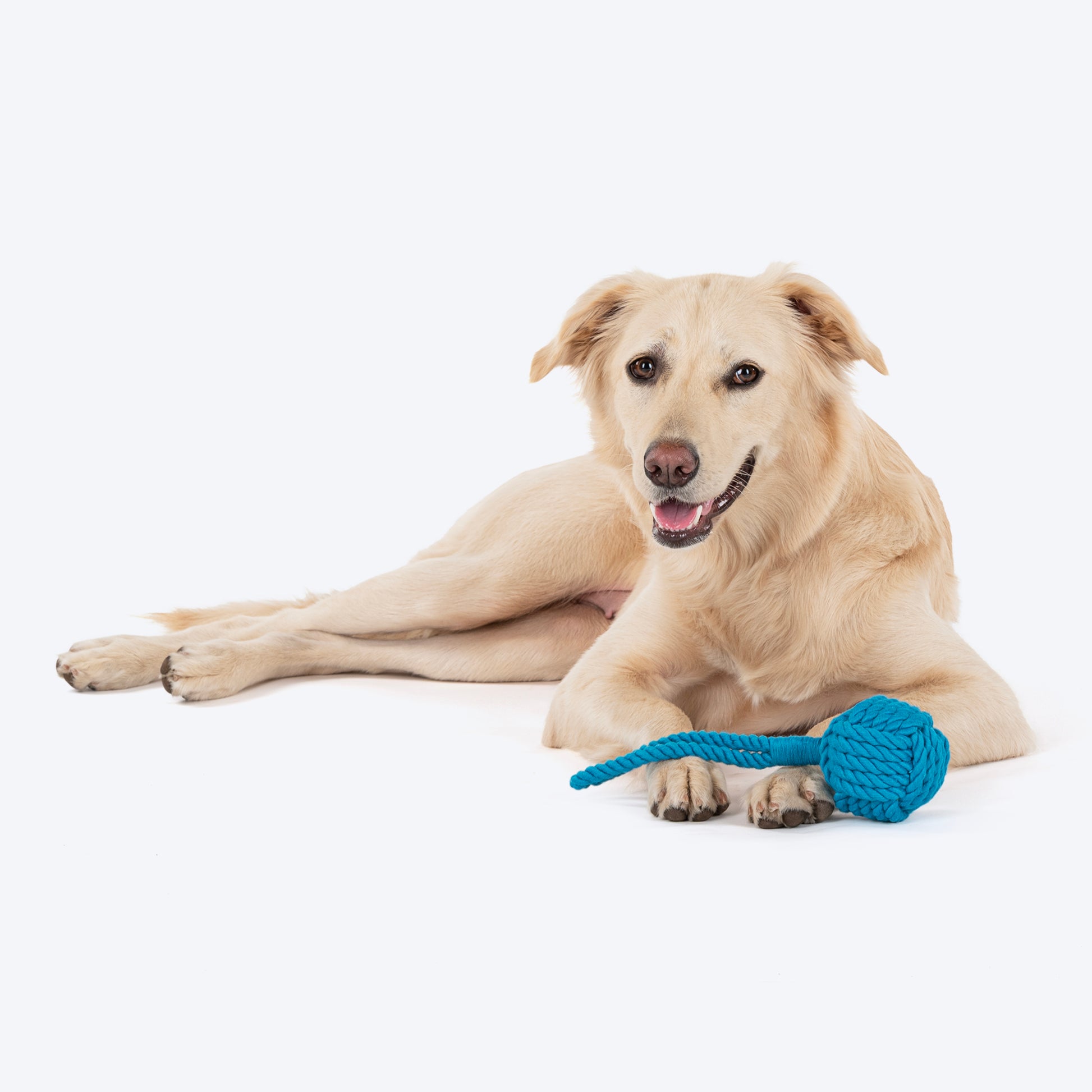 Dash Dog Twist & Tug Rope Toy For Dog - Blue_02