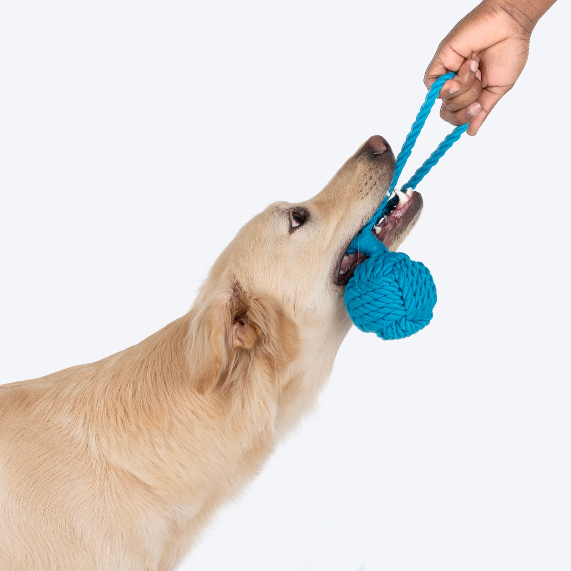 Dash Dog Twist Tug Rope Toy For Dog Blue Heads Up For Tails