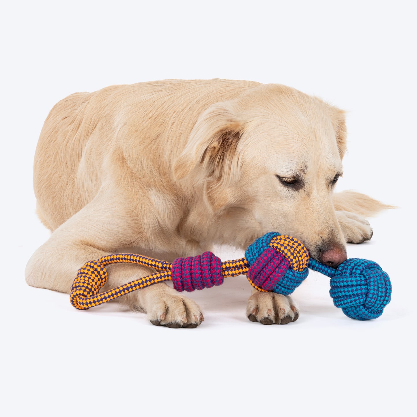 Dash Dog Double Up Tug Rope Toy For Dog - Multicolour_05