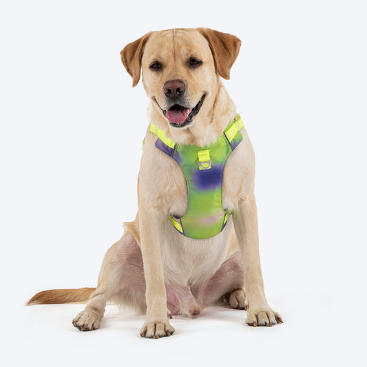 Dash Dog Neon Fusion Outdoor Ease Harness For Dog - Neon Green