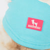 HUFT Happy Teddy Sweatshirt For Small Dog - Turquoise Blue - Heads Up For Tails