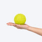 TLC Dotted Textured Ball Squeaky Chew Toy For Dog - Green