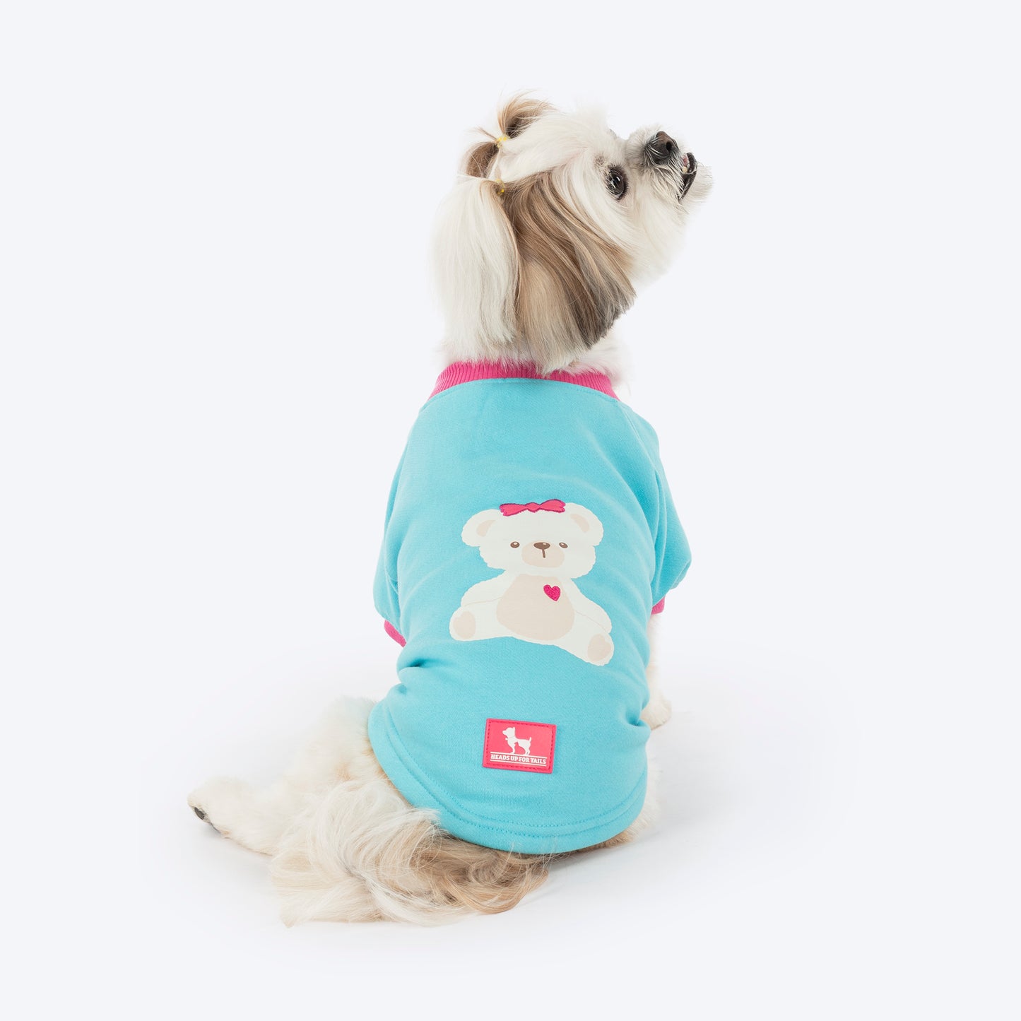 HUFT Happy Teddy Sweatshirt For Small Dog - Turquoise Blue
