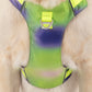 Dash Dog Neon Fusion Outdoor Ease Harness For Dog - Neon Green