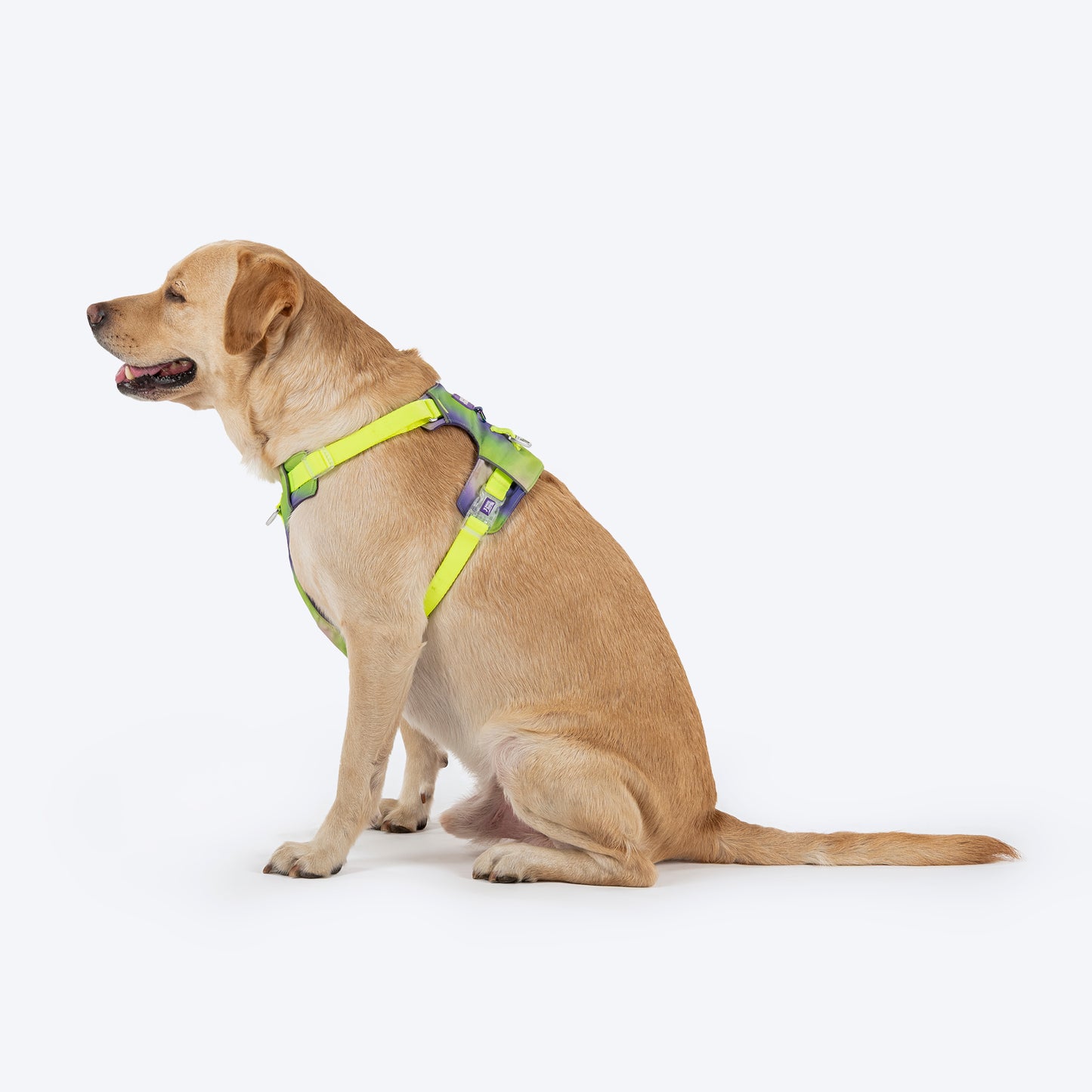 Dash Dog Neon Fusion Outdoor Ease Harness For Dog - Neon Green