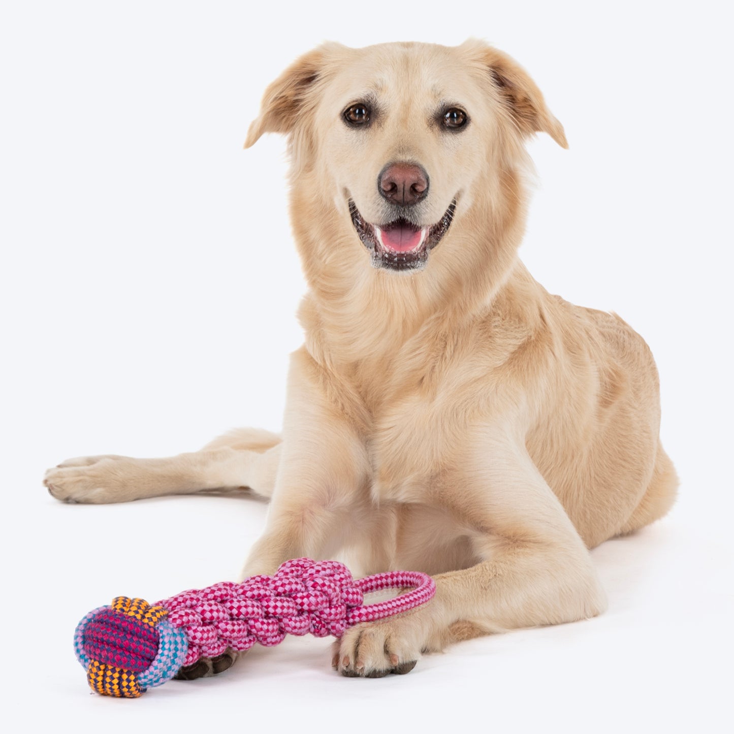 Dash Dog Knots of Fun Rope Toy For Dog - Pink_06