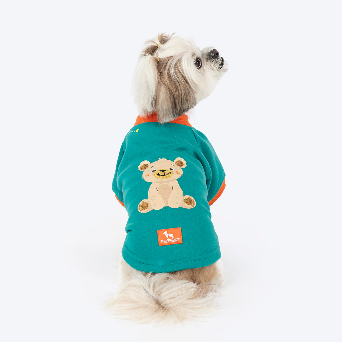 HUFT Sunny Bear Sweatshirt For Small Dog - Green, Snug Fit, Lightweight