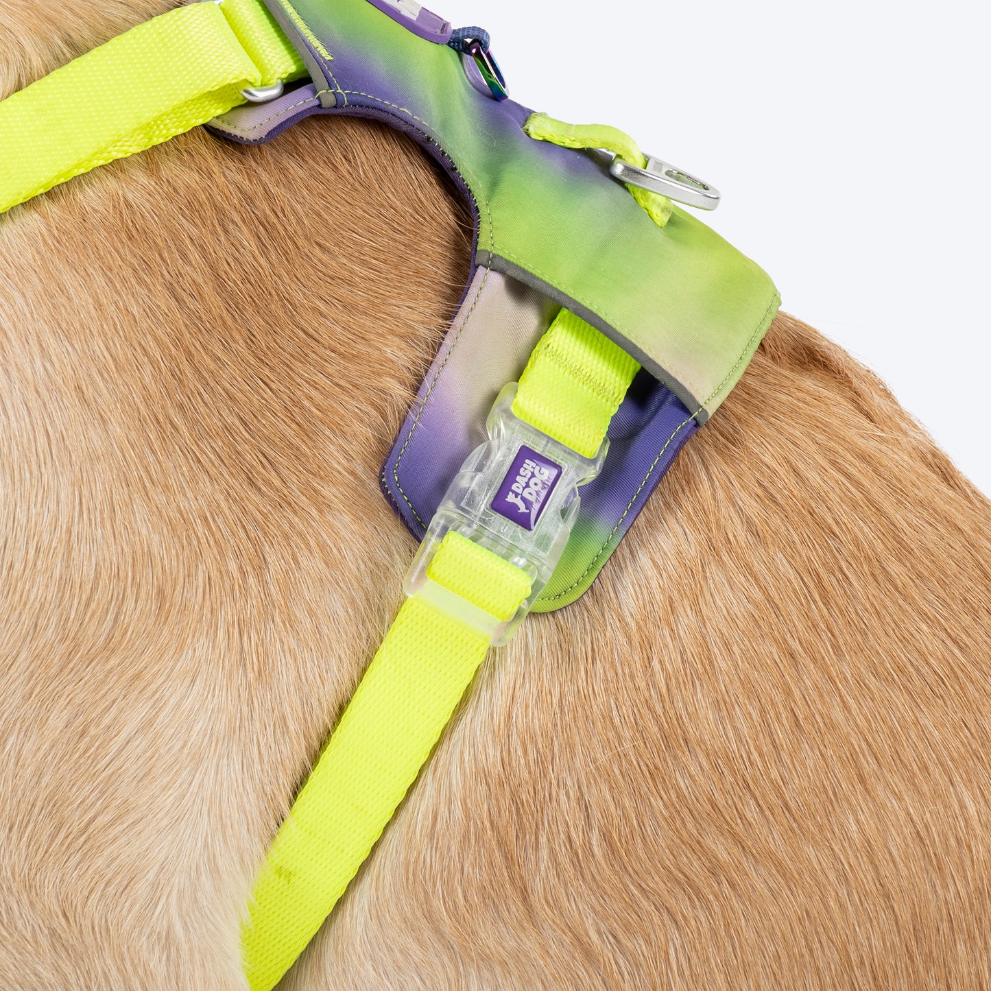 Dash Dog Neon Fusion Outdoor Ease Harness For Dog - Neon Green