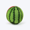 HUFT Melon Munch Plush Toy For Dog - Green