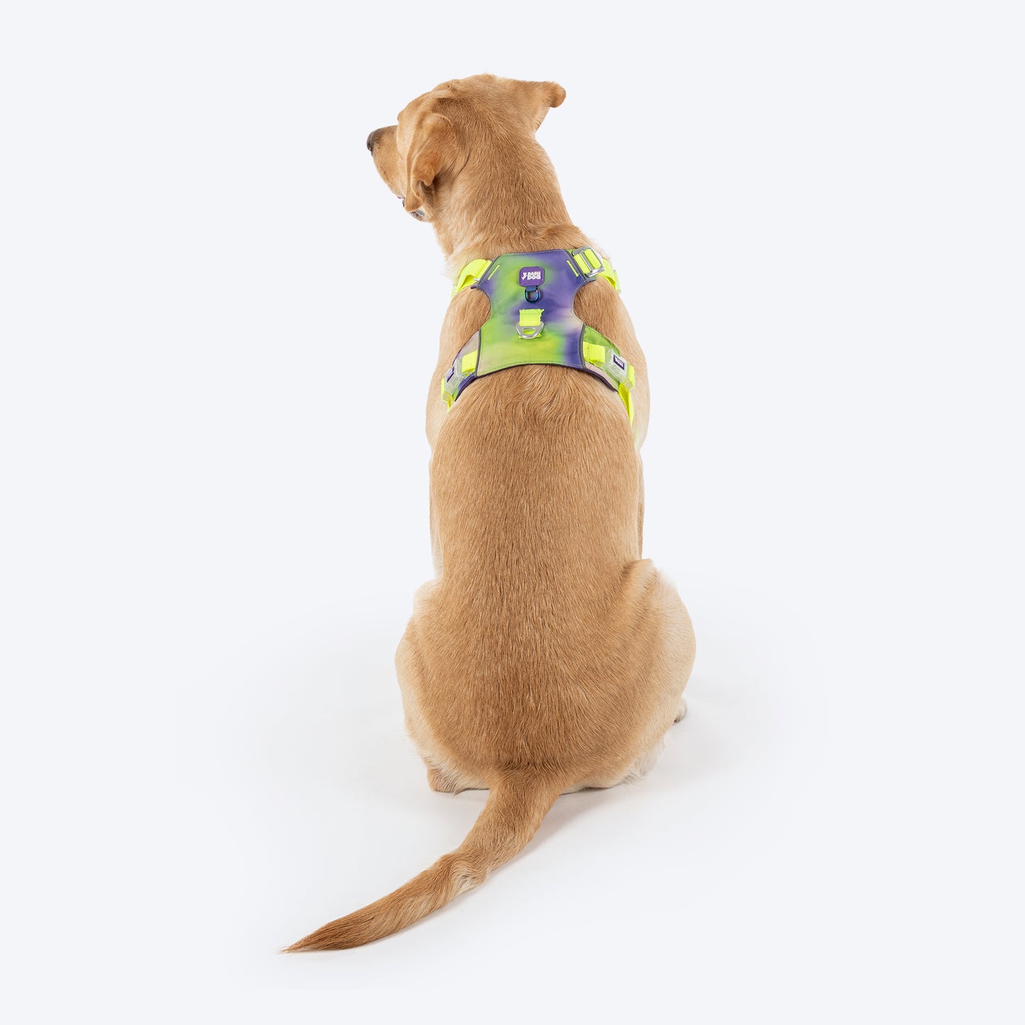 Dash Dog Neon Fusion Outdoor Ease Harness For Dog - Neon Green