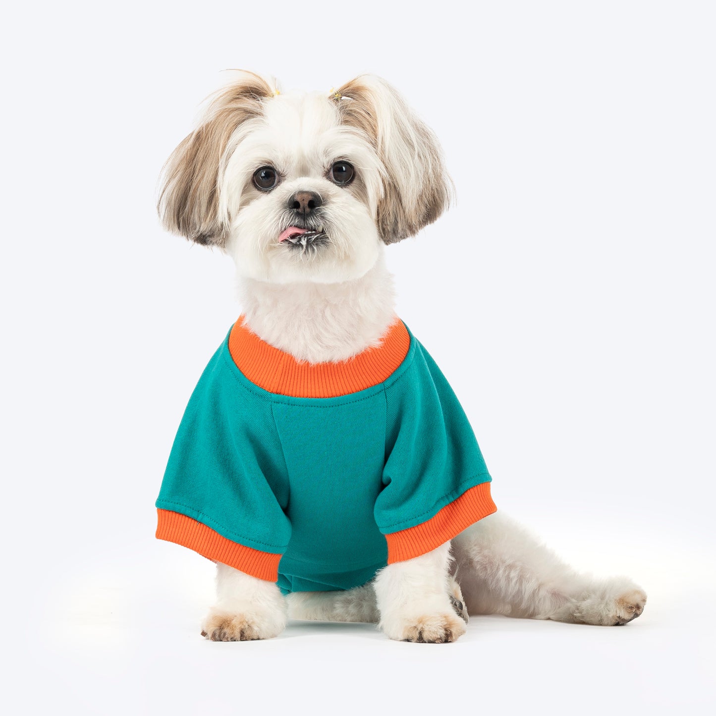 HUFT Sunny Bear Sweatshirt For Small Dog - Green