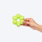 TLC Ring Of Balls Squeaky Chew Toy For Dog - Green