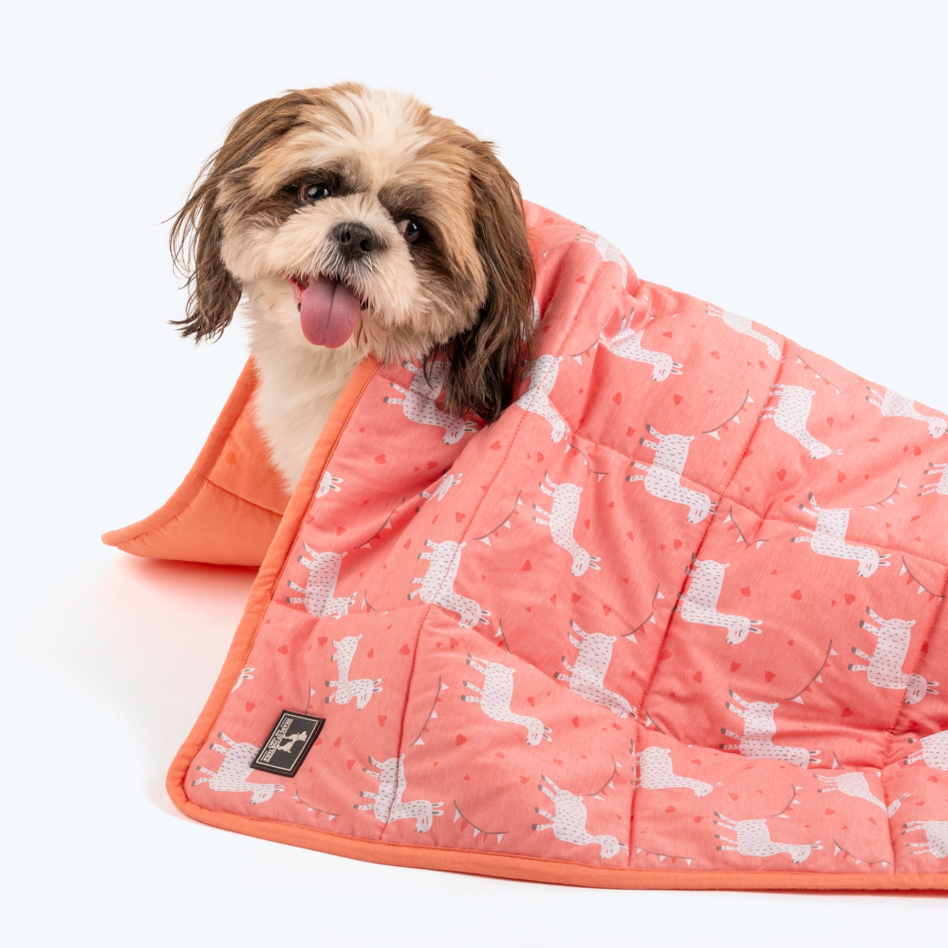 HUFT Personalised Cuddle Bundle Puppy & Kitten Blanket - Peach - Heads Up For Tails