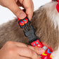 HUFT Heart to Heart Adjustable Harness For Dog - Red