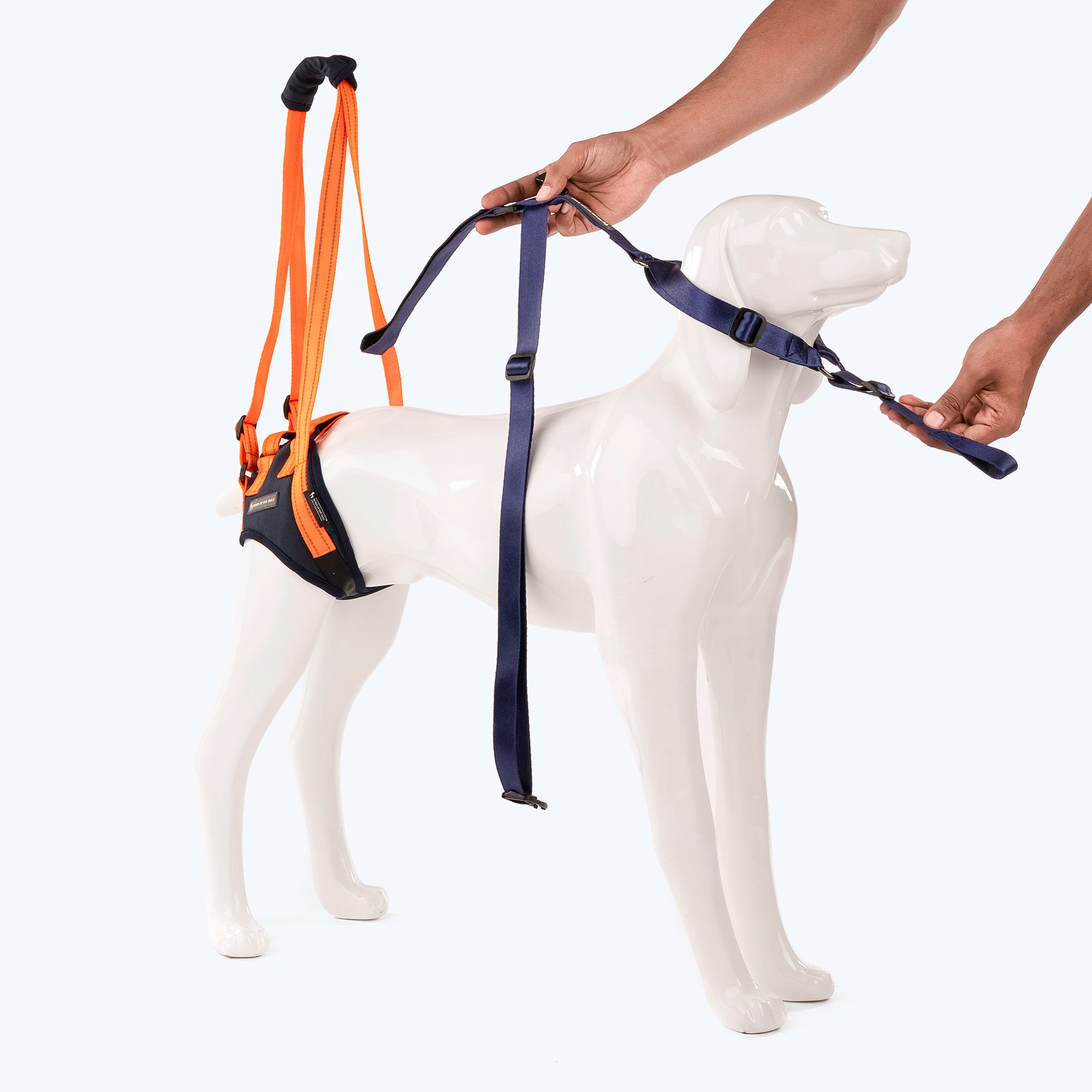 Dog rear best sale leg support