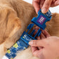 Dash Dog Wildcrest Padded Collar For Dog - Blue & Neon Green