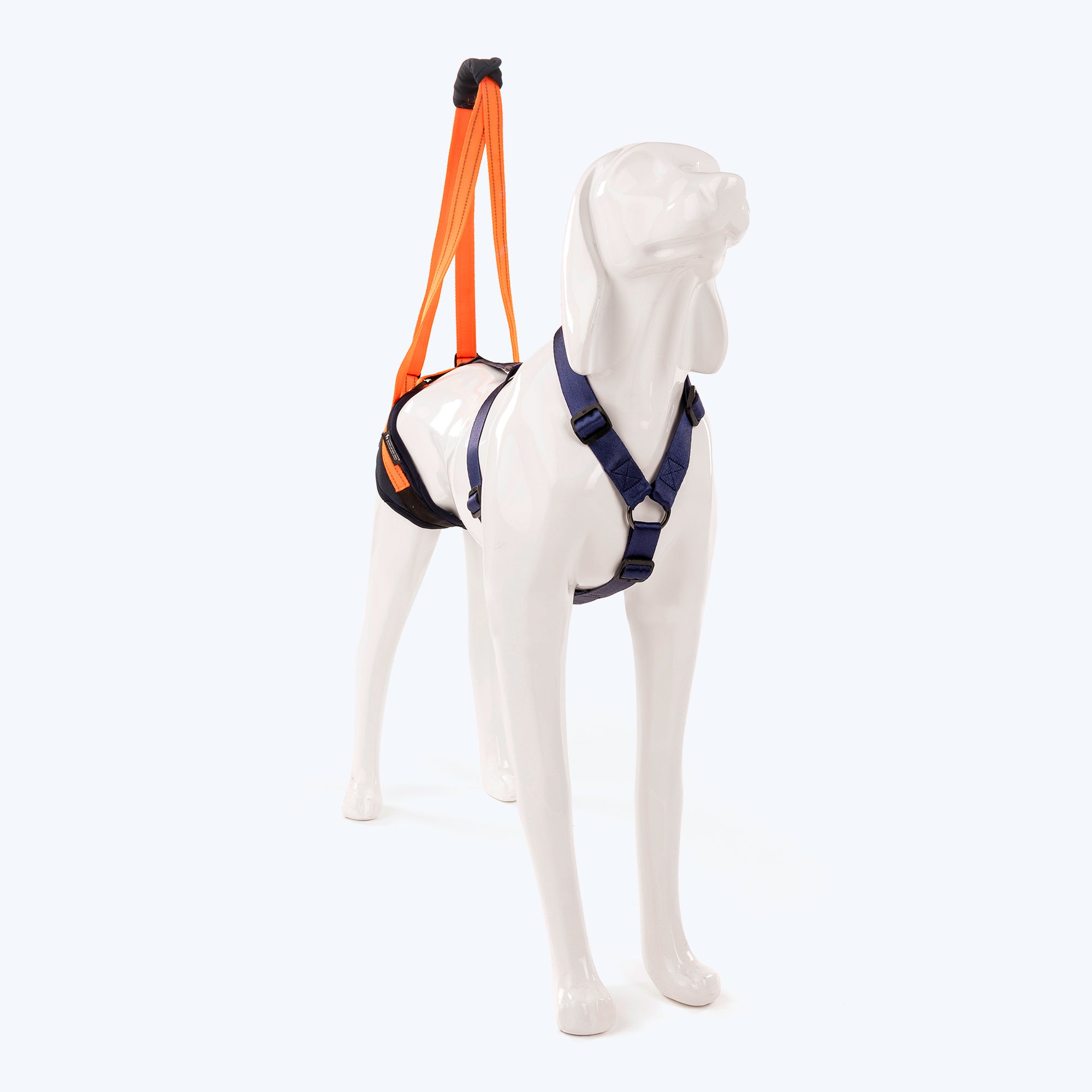 Dog sling outlet for hind legs