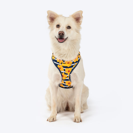 HUFT Daisy Stripes Adjustable Harness For Dog - Blue & Yellow