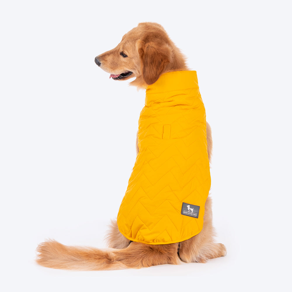 HUFT Wintersong Reversible Dog Jacket - Yellow