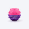 Dash Dog Spikey Snacker Chew Toy For Dog - Purple & Pink - Heads Up For Tails
