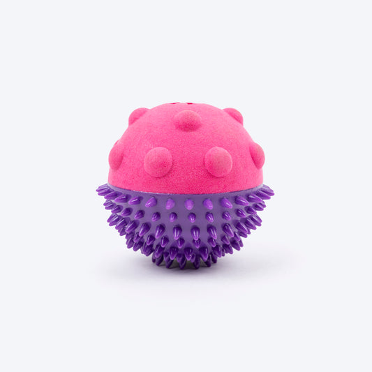 Dash Dog Spikey Snacker Chew Toy For Dog - Purple & Pink