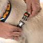 HUFT Daisy Stripes Adjustable Harness For Dog - Blue & Yellow