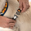 HUFT Daisy Stripes Adjustable Harness For Dog - Blue & Yellow - Heads Up For Tails