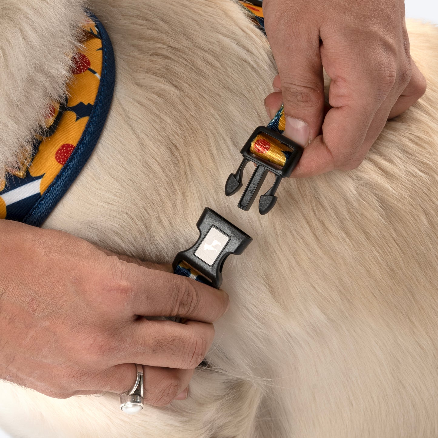 HUFT Daisy Stripes Adjustable Harness For Dog - Blue & Yellow