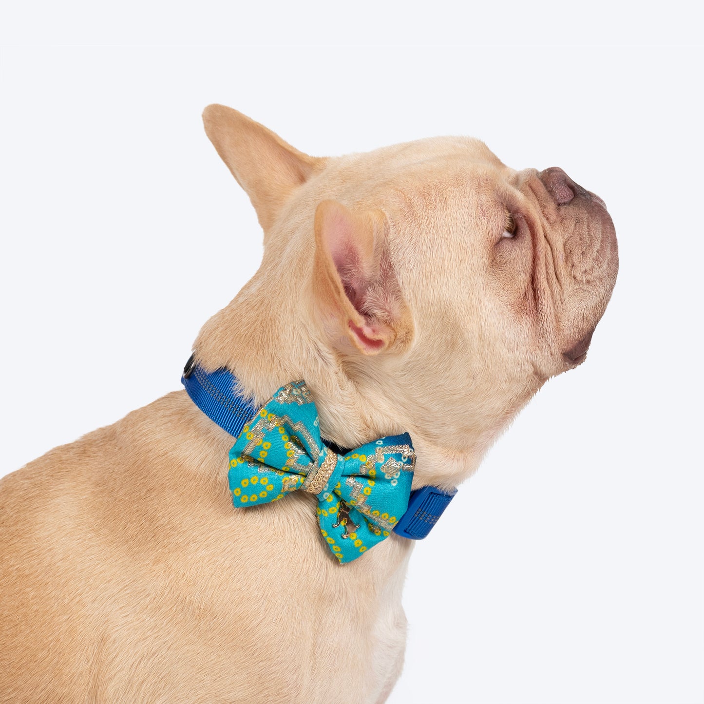 HUFT Noori Bow Tie For Dog - Blue
