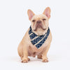 HUFT Bandhani Bandhan Knot Bandana For Dog - Indigo Blue - Heads Up For Tails