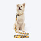 HUFT Daisy Stripes Leash For Dog - Blue & Yellow