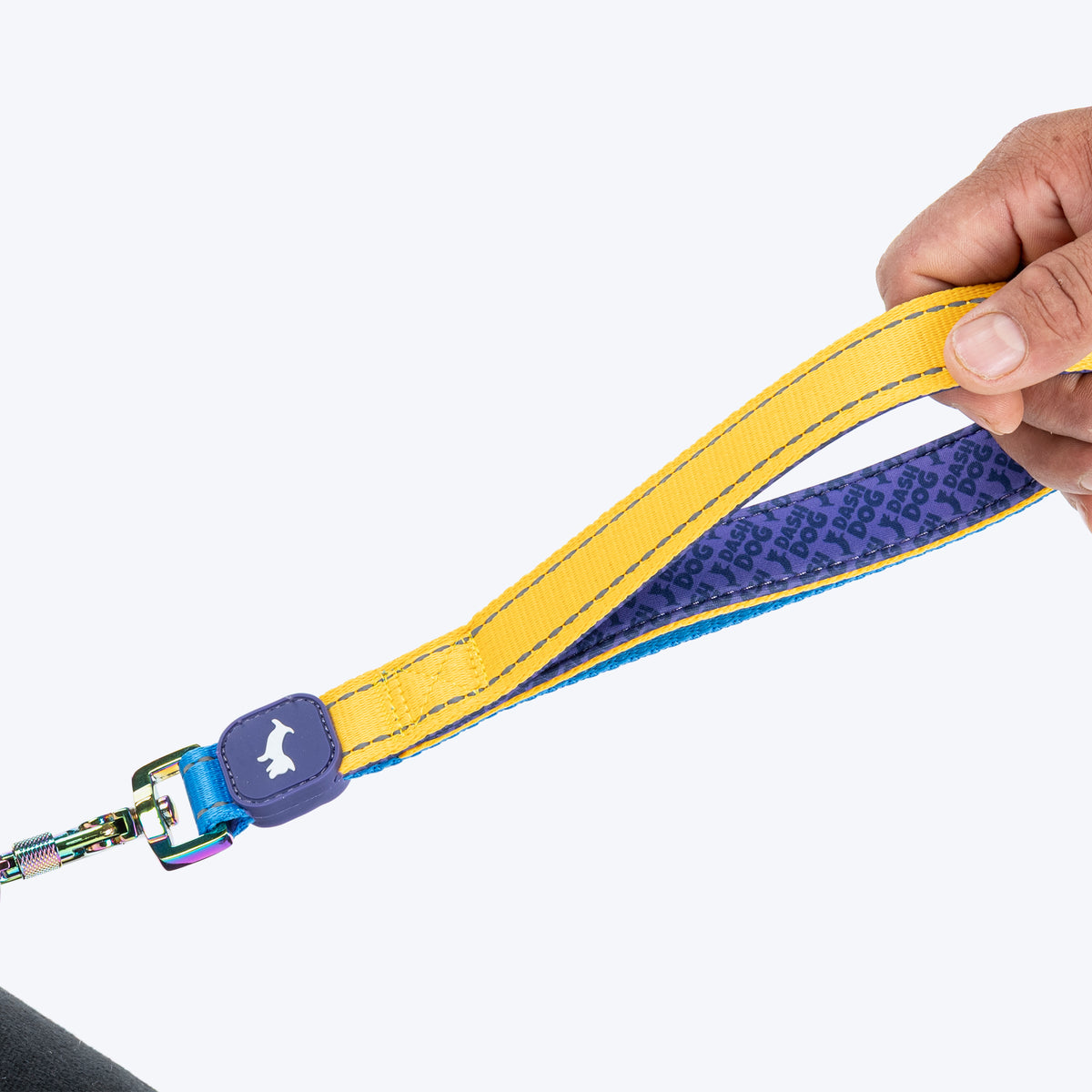 Dash Dog Dual Handle Leash For Dog - Royal Blue & Yellow