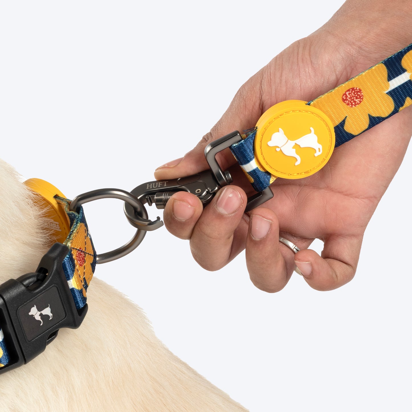 HUFT Daisy Stripes Leash For Dog - Blue & Yellow