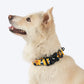 HUFT Daisy Stripes Collar For Dog - Blue & Yellow