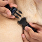 HUFT Rang Riwaz Bow Tie With Strap For Dog - Blue - Heads Up For Tails
