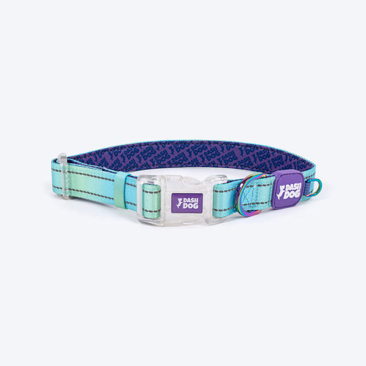 Dash Dog Ethernal Fade Padded Collar For Dog - Aqua