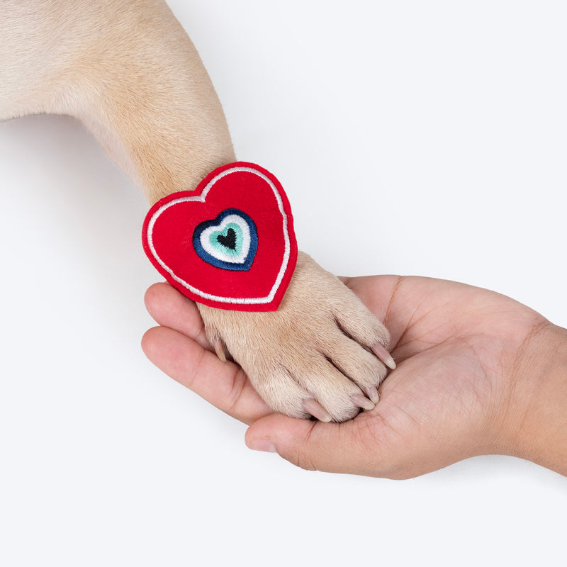 HUFT Furever Bandhan Combo - Pet Rakhi, Food Toy, Goat Milk Cookies - Heads Up For Tails