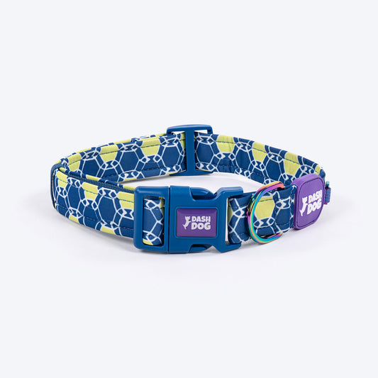 Dash Dog Wildcrest Padded Collar For Dog - Blue & Neon Green