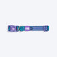 Dash Dog Ocean Breeze Padded Collar For Dog - Teal Blue
